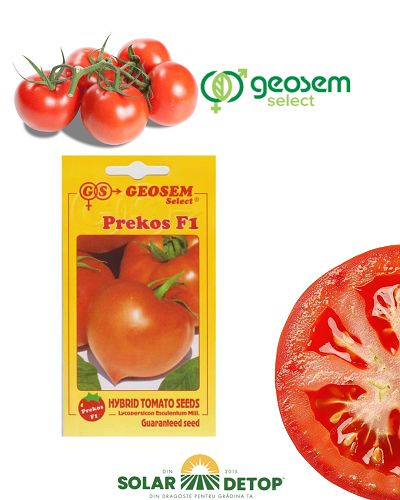 Tomate Prekos F1 50s