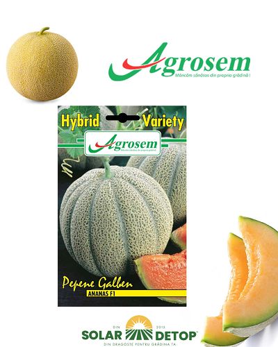AGR Pepene galben Ananas F1 2gr