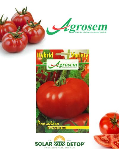 AGR Tomate Beefmaster F1 0.3gr