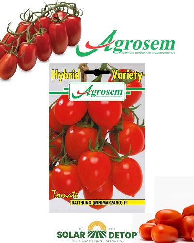 AGR Tomate Datterino F1 0.3gr