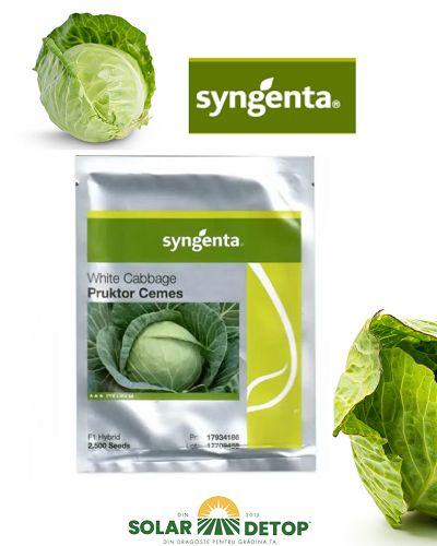 Varza Pruktor F1 2500sem