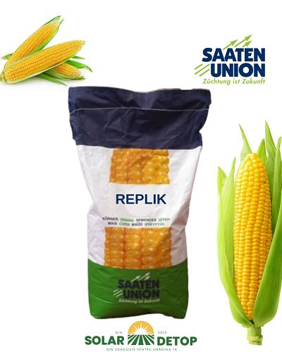 Porumb Replik FAO 380 50mb – hibrid semitimpuriu productiv
