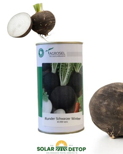 Ridichii Runder Schwarzer 10000sem