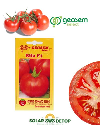 Tomate Rila F1 25s