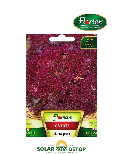 Salata Lollo Rossa 2Gr