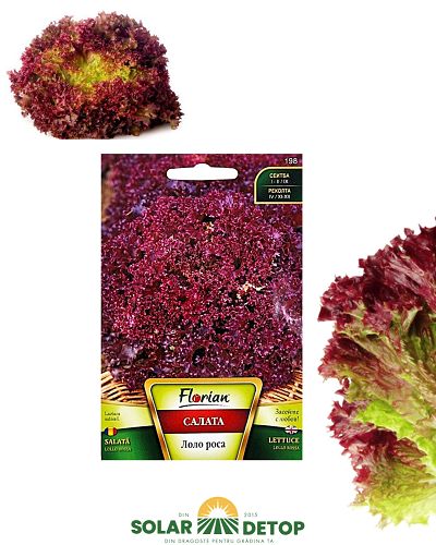 Salata Lollo Rossa 2 gr