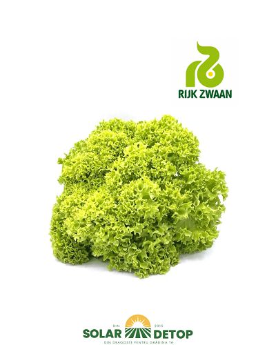 salata Teramo 1000sem drajata