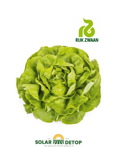 Salata Danubia  1000s drajata