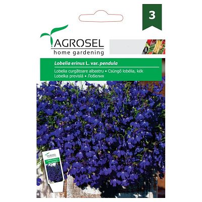 Seminte Lobelia curgatoare albastru - 0,5g