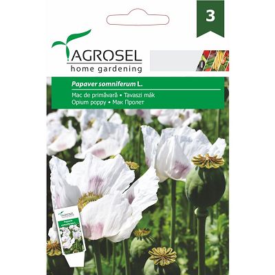 Seminte Mac de Primavara - 1g