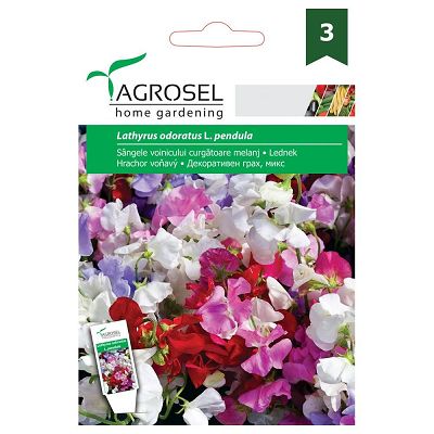 Seminte Sangele voinicului curgatoare melanj - 3g