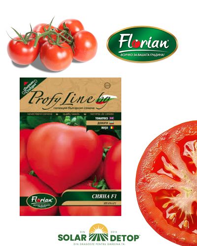 Tomate Siyana F1 1000sem