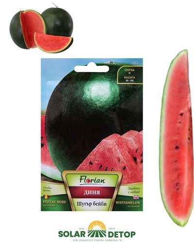 Pepene Rosu Sugar Baby 3gr