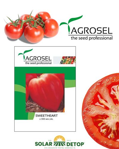 Tom Sweetheart 2000sem