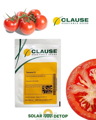Tomate Tamaris F1 250sem
