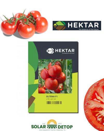 Tomate Oltena F1 100s