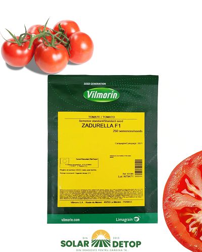 Tom Zadurella F1 250sem