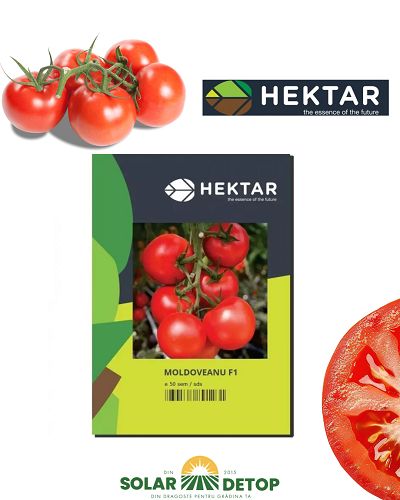 Tomate Moldoveanu F1 50sem