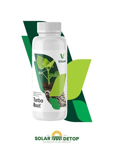Turbo root 1l
