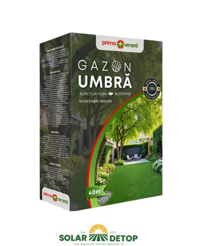 Gazon Umbra 1KG PR