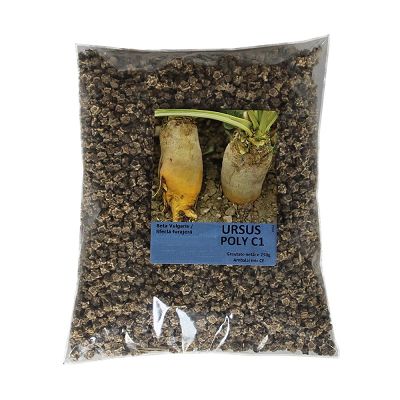 Seminte Sfecla furajera Ursus Poly - 250g