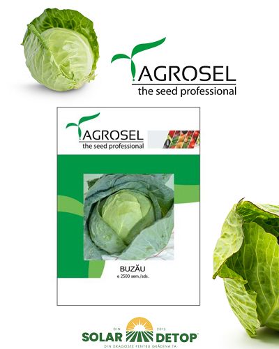 Varza De Buzau 2gr