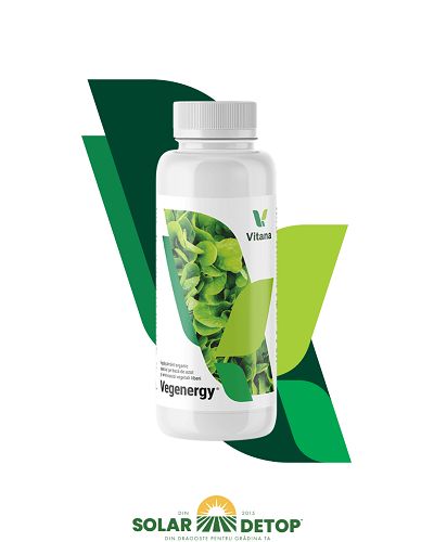 Vegenergy 1l