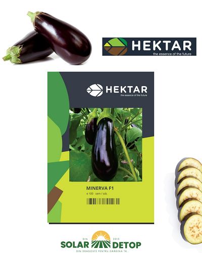 Vinete Minerva F1 100s