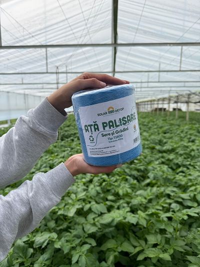 Ata Palisat Solar Detop