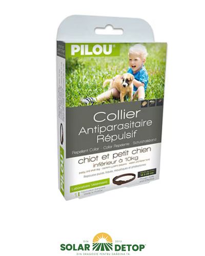 Zgarda Purici Caine Pui